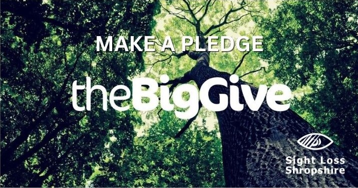 Photograph of a tree looking up the trunk into the canopy; text reads "Make a Pledge", with the Big Give and Sight Loss Shropshire logos.